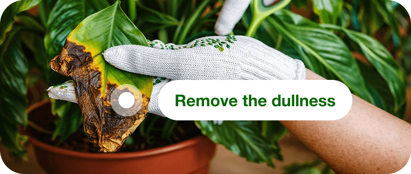 Use environment tools