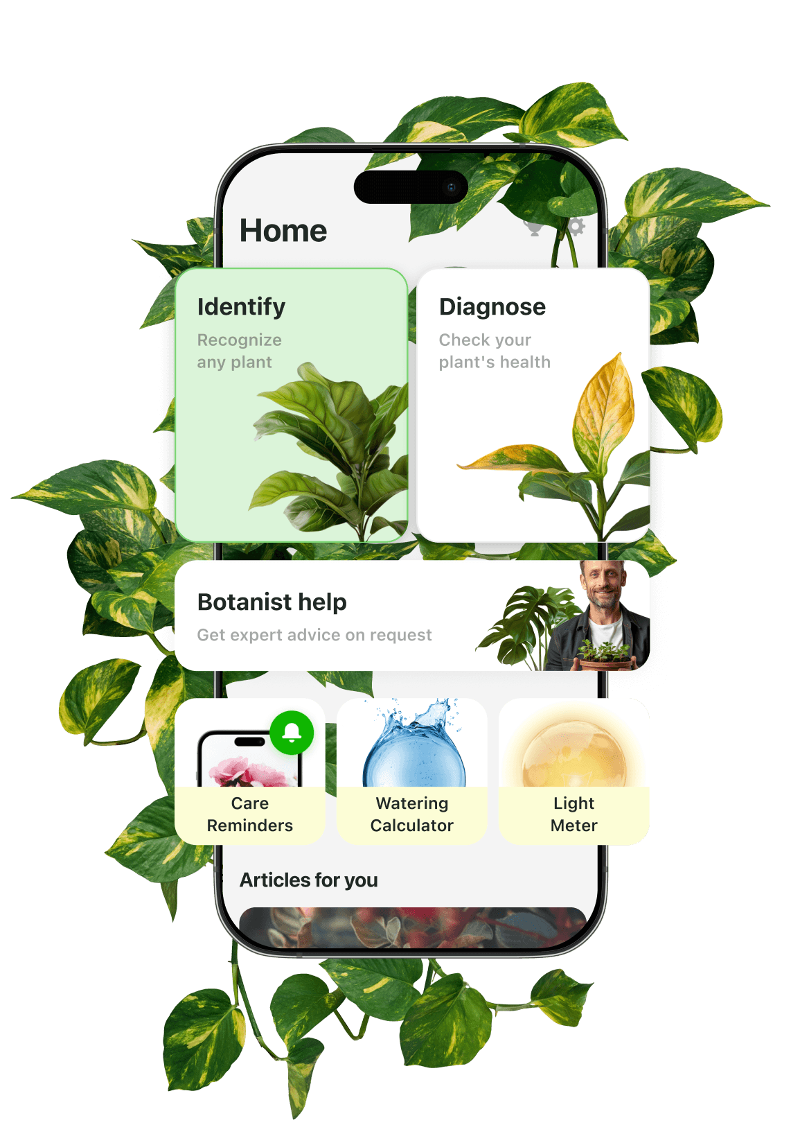 Botan app home screen surrounded by trailing pothos leaves