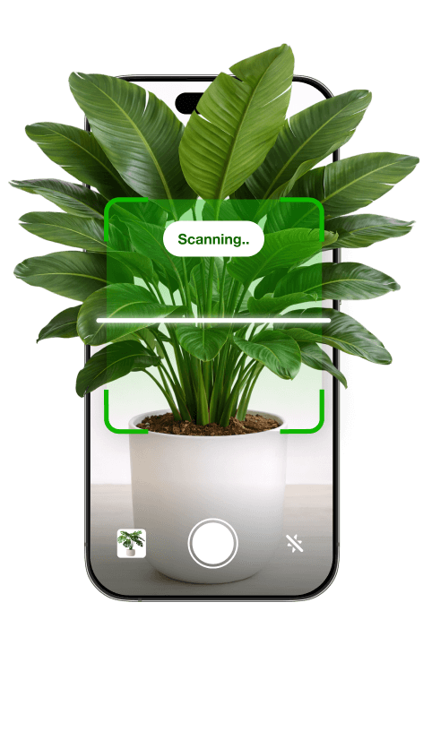 Botan plant care app — identify plants on mobile