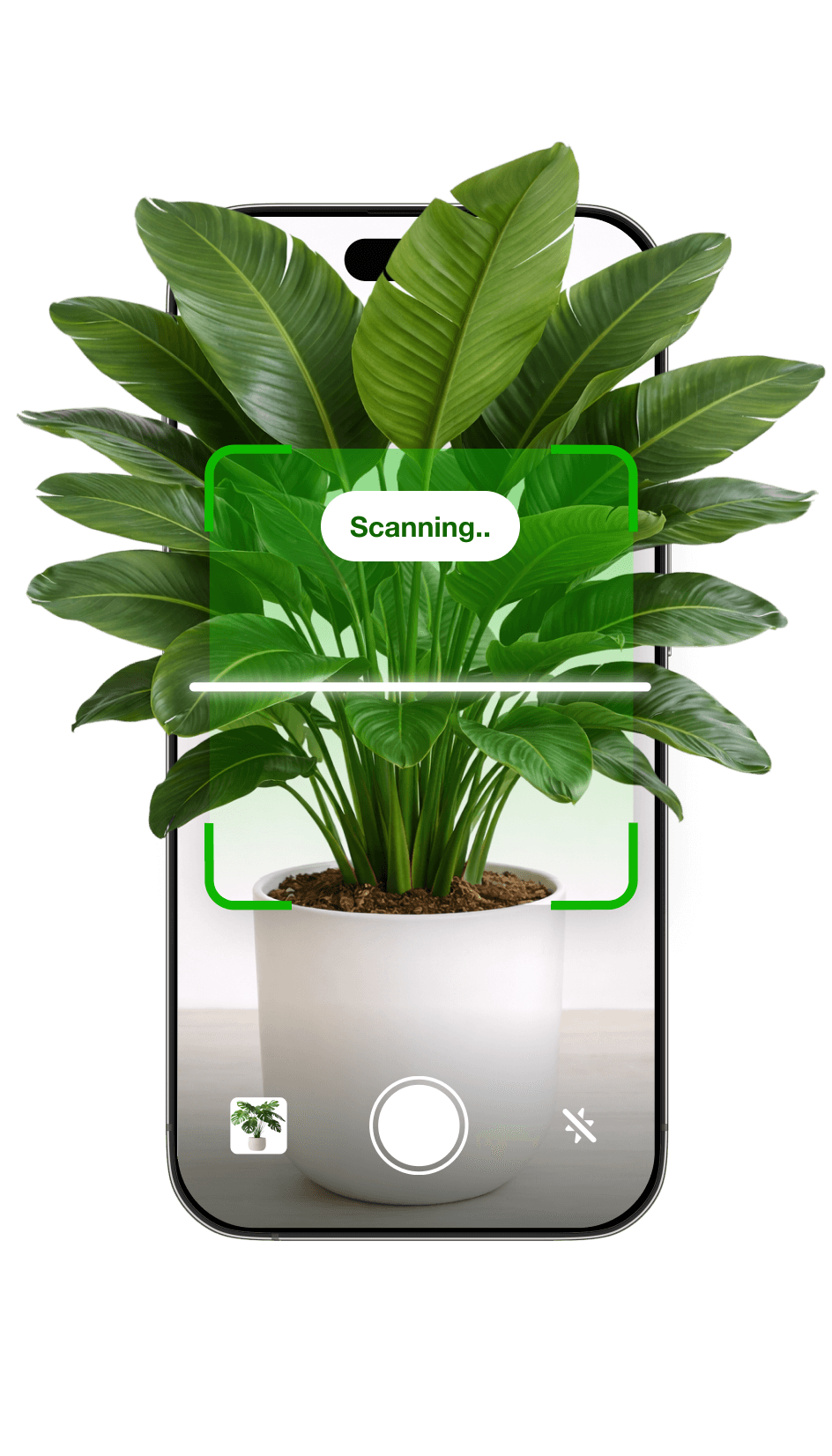 Botan app scanning a plant with a phone camera