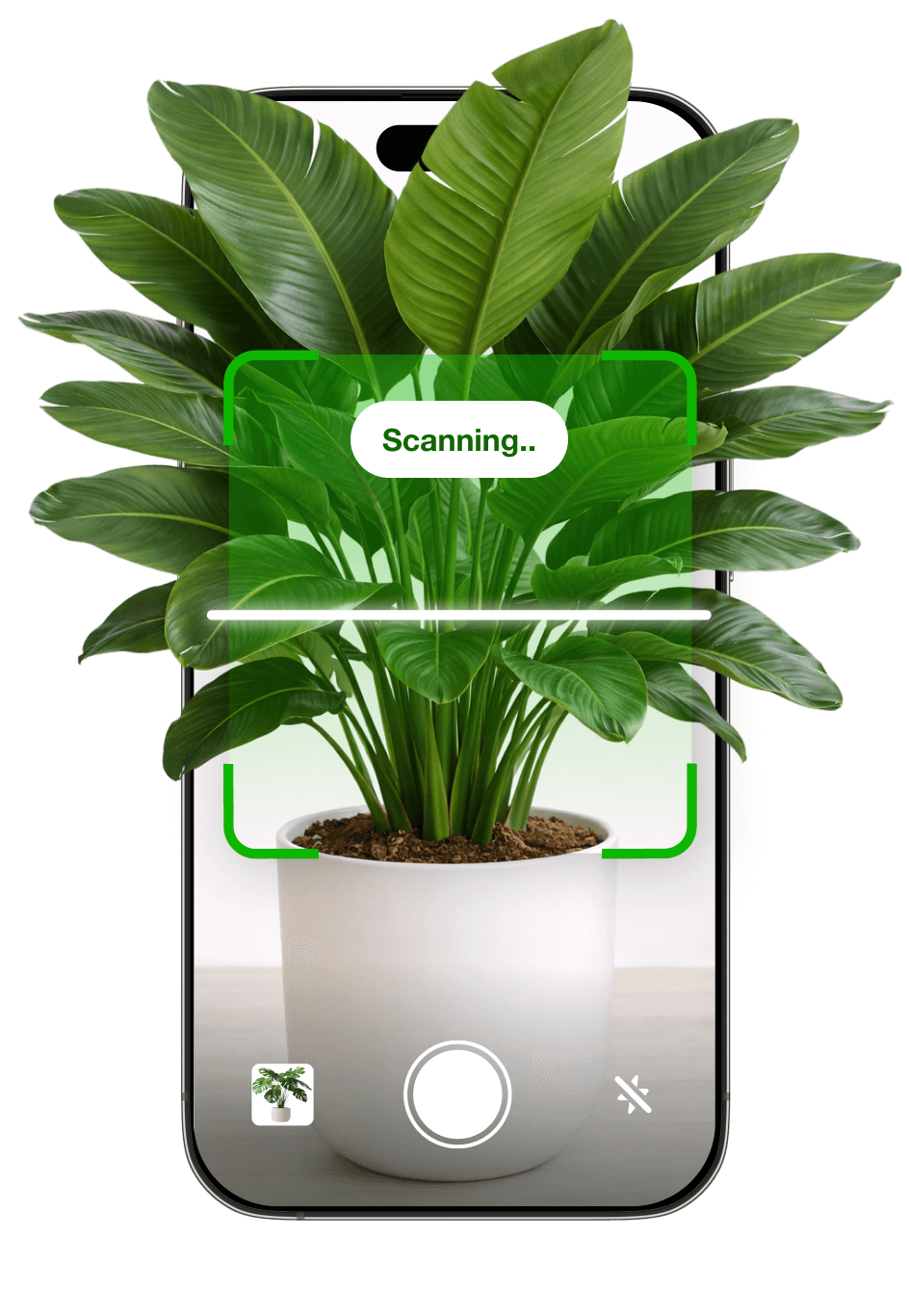 Botan plant scan