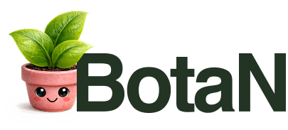 BotaN logo