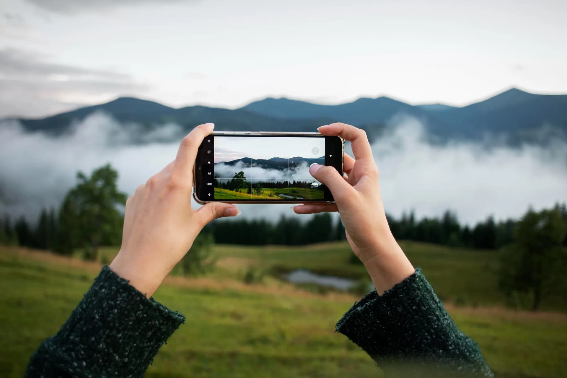 10 Best Nature Apps for Identifying Plants, Birds, and More
