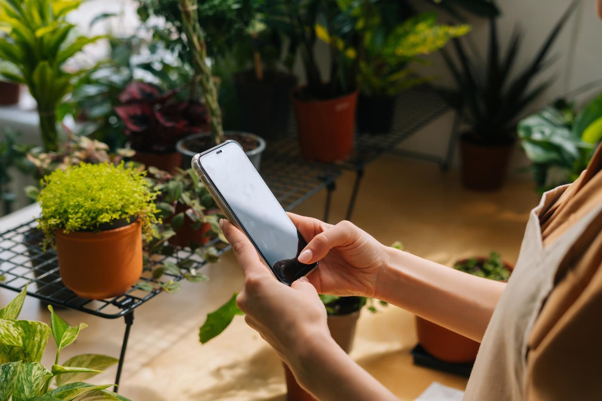 How Much Do Plant Apps Cost? A Guide to Plant App Pricing in the US