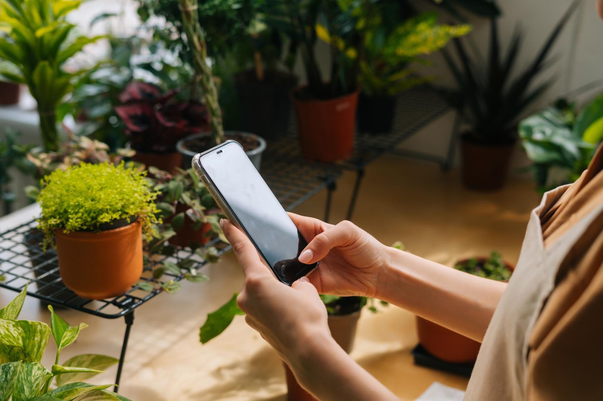 How Much Do Plant Apps Cost? A Guide to Plant App Pricing in the US