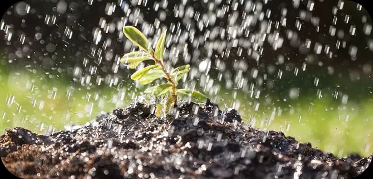 Plant health check preview