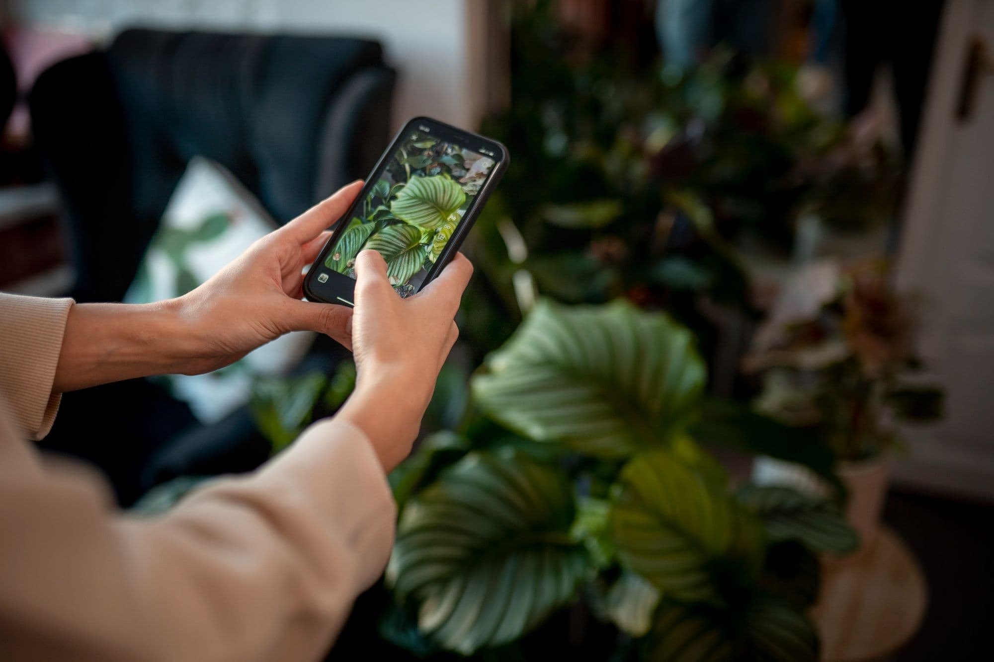 12 Best Green Apps for a More Sustainable and Eco-Friendly Lifestyle