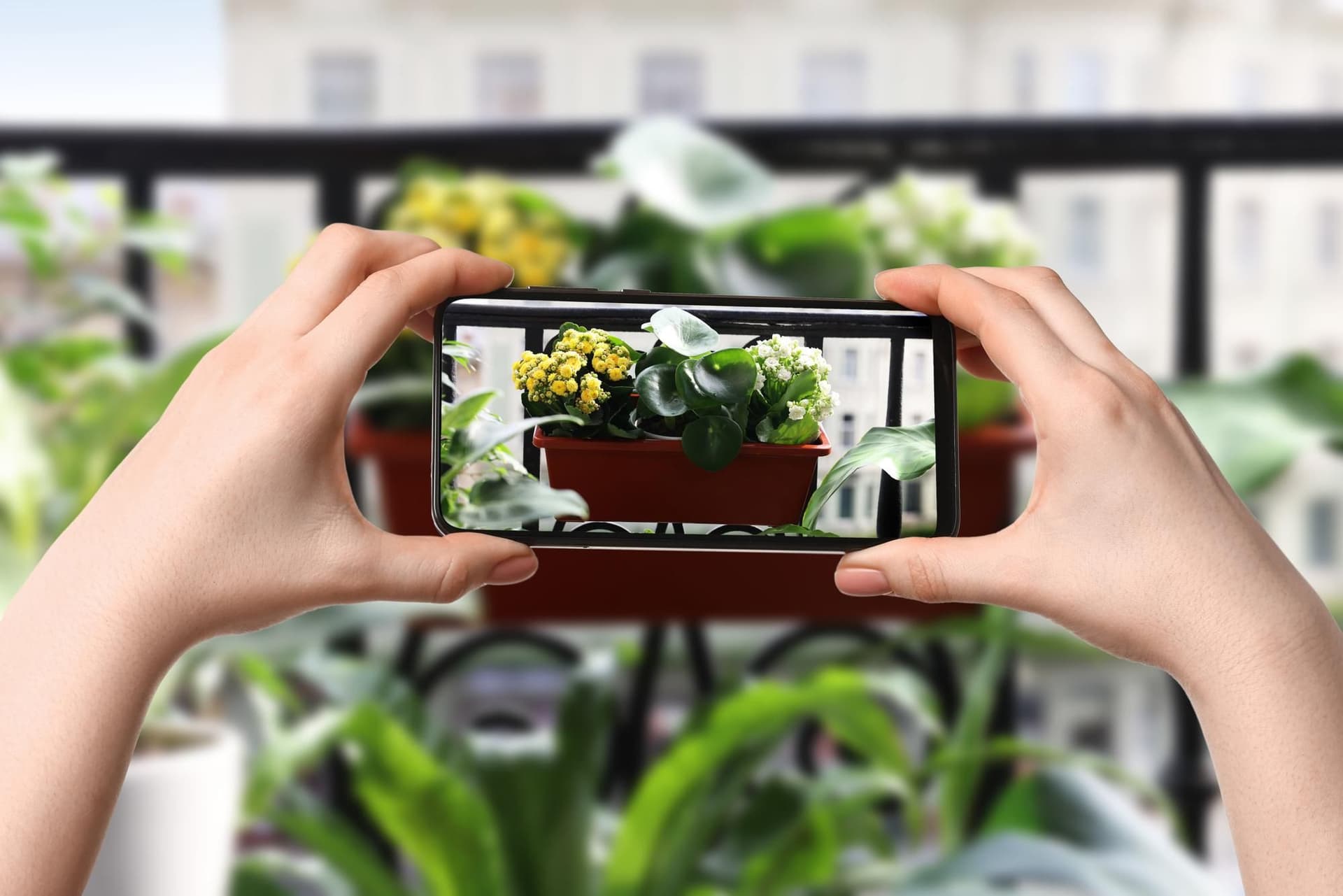 AI Gardening: 7 Best AI Apps for Plant Care and Garden Planning