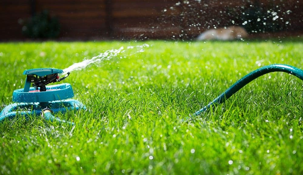 Best Time to Water Grass in Summer – Lawn Watering Tips
