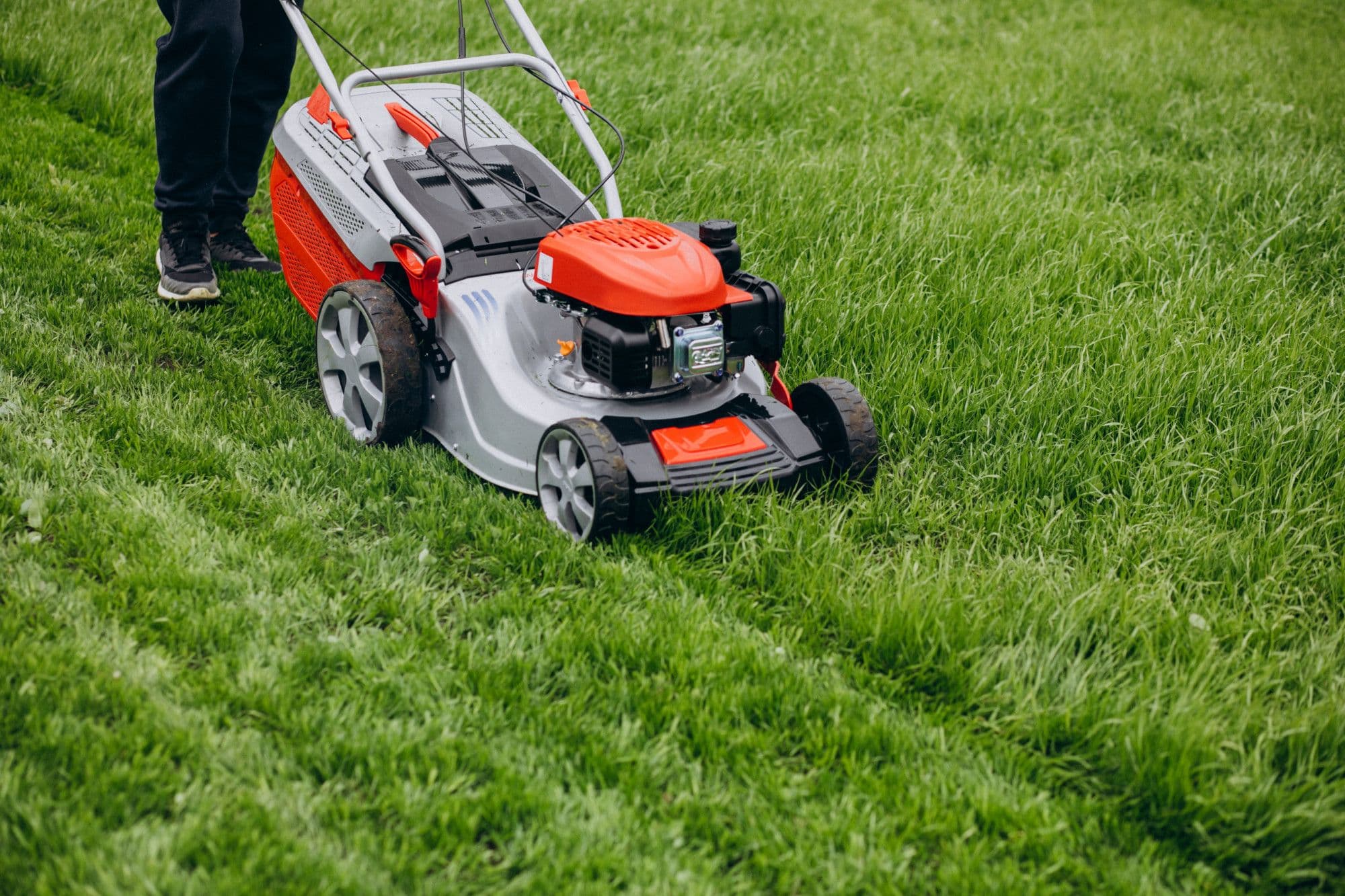 Best Time to Mow Lawn – A Complete Guide