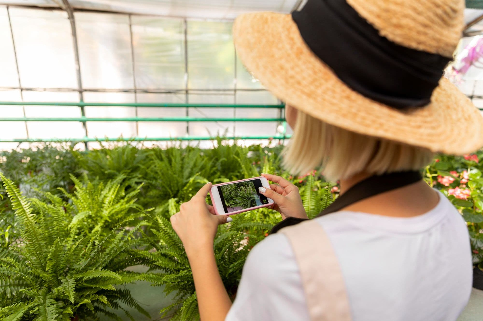 Best Plant Identification Apps – Accuracy, Features, and Price