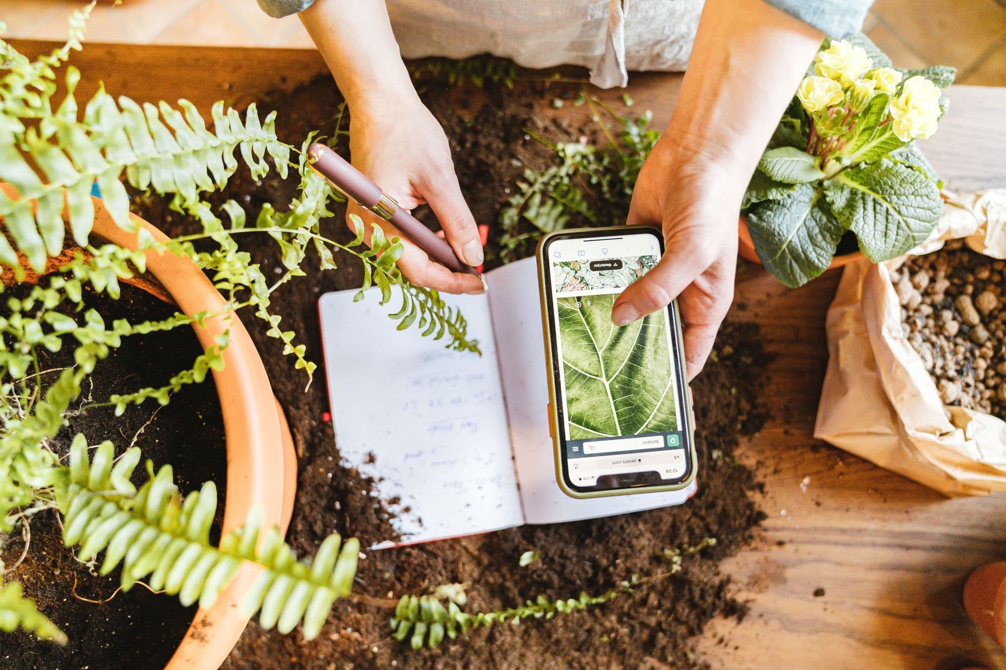 12 Best Gardening Apps of 2026 for Planning, Plant Care & More