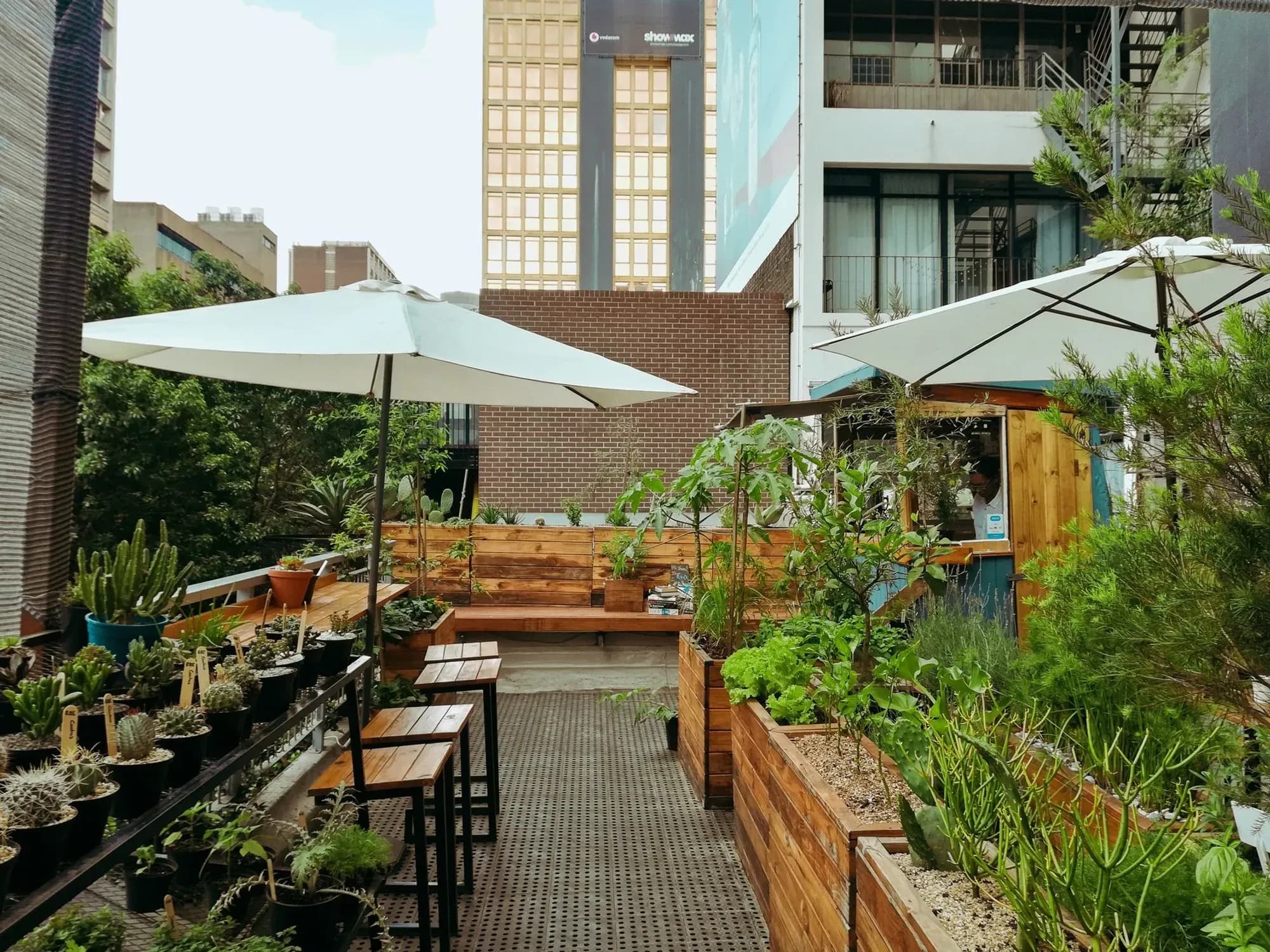 Johannesburg Rooftop Garden Turns High-Rise Space Into a Hydroponic Food Source