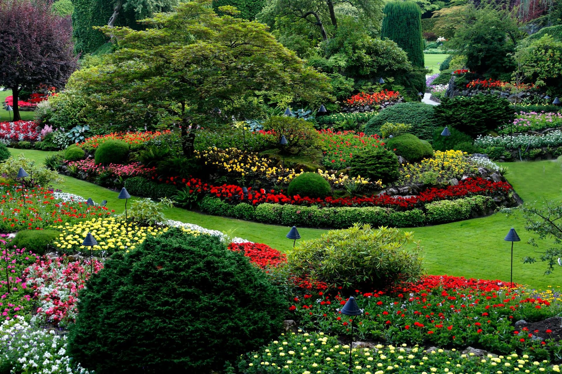 12 Best Landscaping Trees for Your Garden