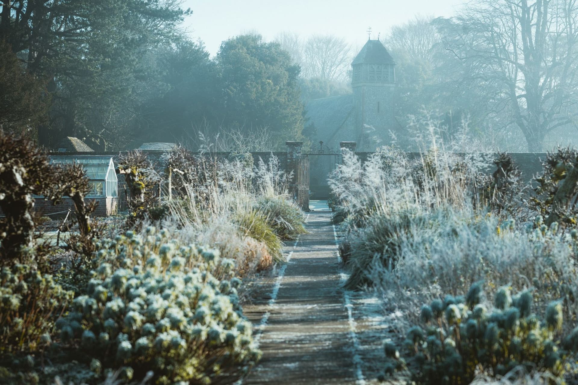 How to Winterize Your Garden in 6 Steps