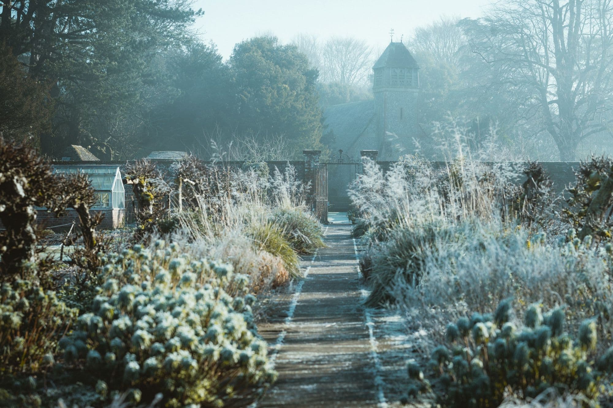 How to Winterize Your Garden in 6 Steps