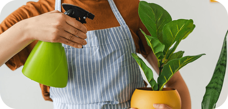 Plant health check preview