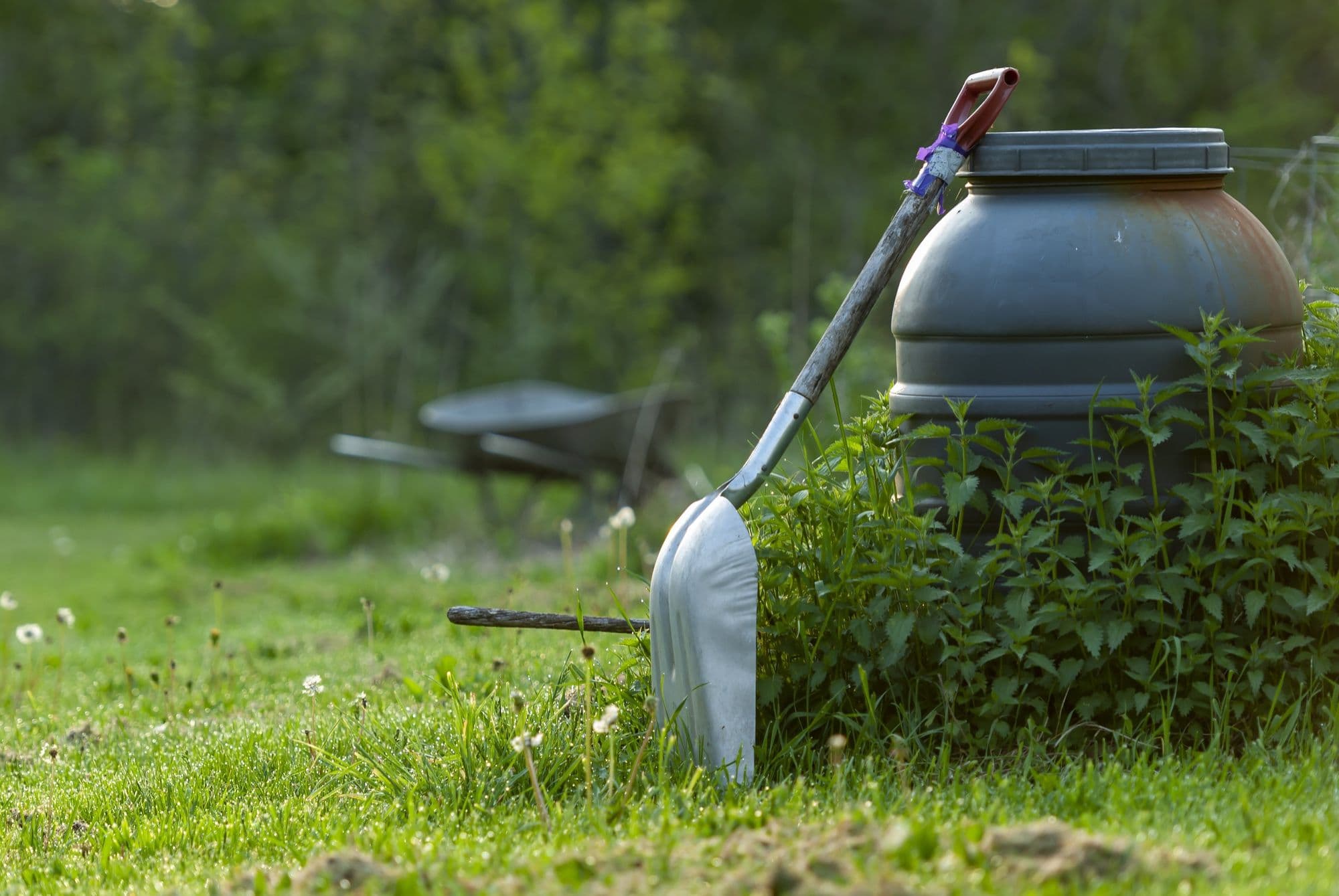 Best Fertilizer for Grass in Summer: How to Choose the Right One
