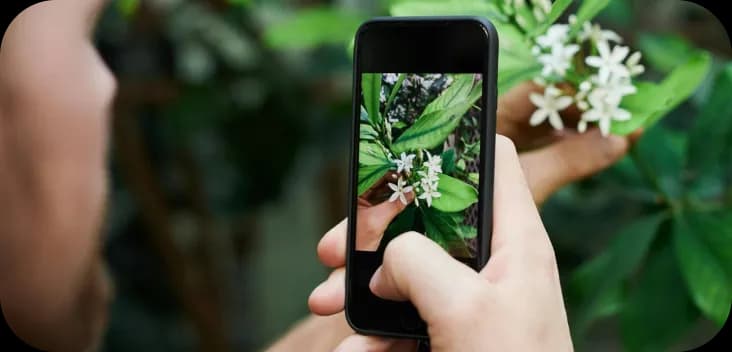 Plant health check preview
