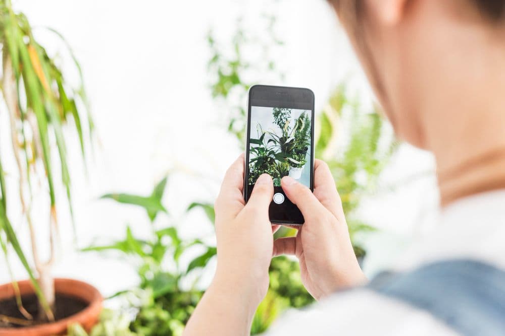10 Best Plant Care Apps to Keep Your Plants Healthy in 2026