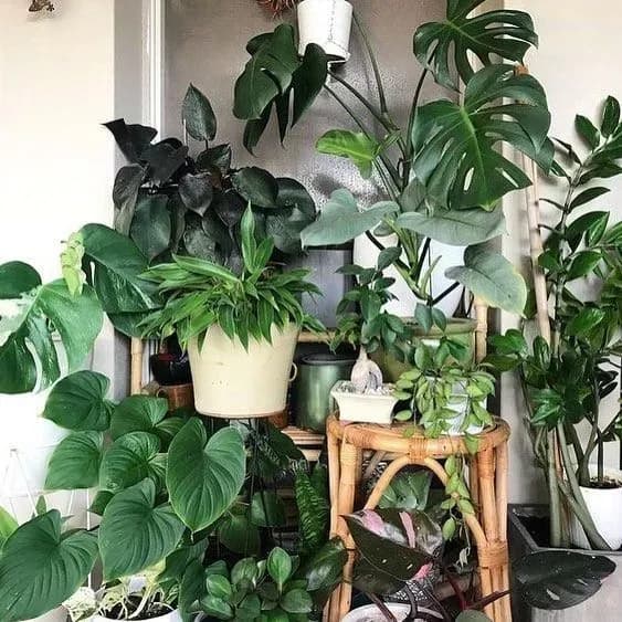 Group Plants Together