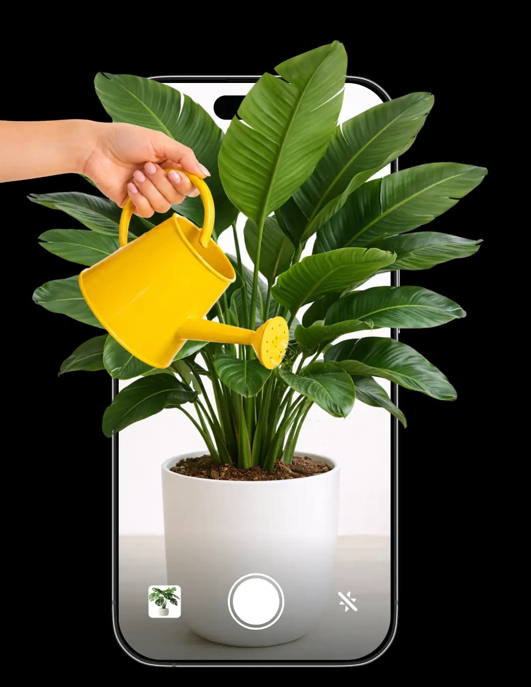Botan plant care app — identify plants on mobile