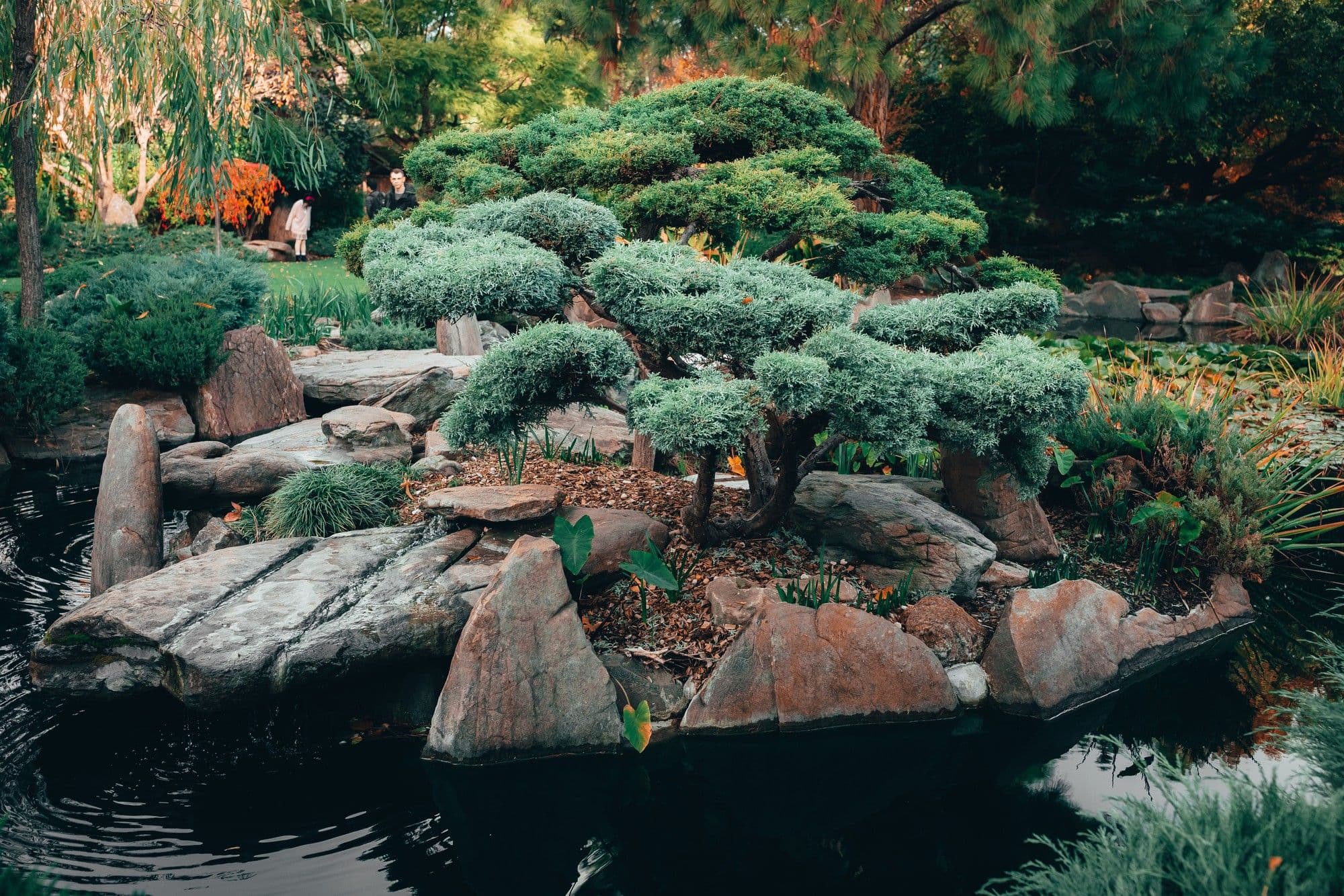 How to Group Plants in Landscaping: A Practical Layout Guide