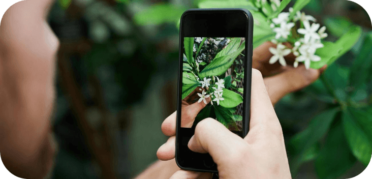 Plant health check preview